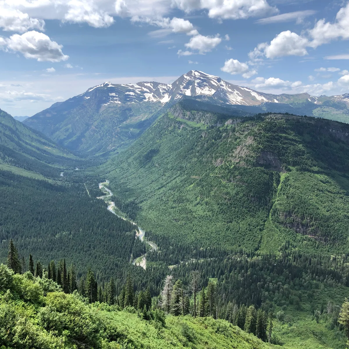 Snow-capped peaks above a forested river valley